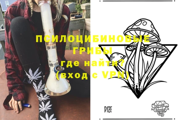 прущие грибы Алексин