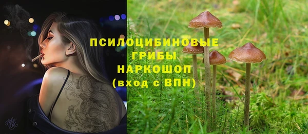 прущие грибы Алексин