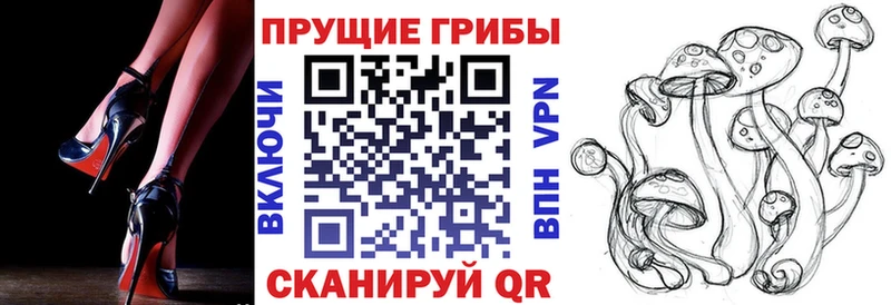 Псилоцибиновые грибы GOLDEN TEACHER  Мичуринск 