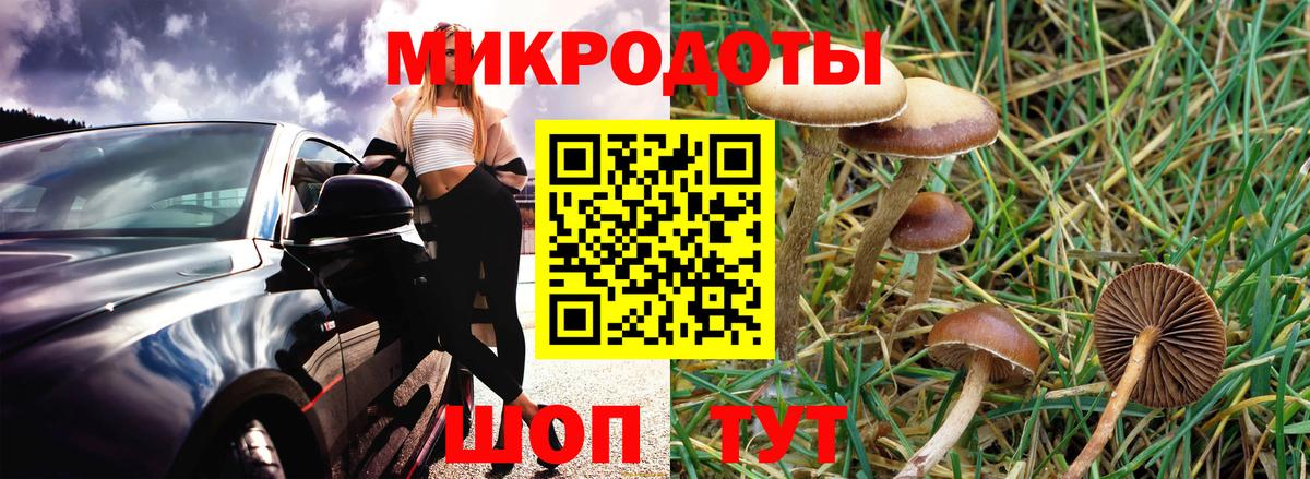Псилоцибиновые грибы Cubensis  Вход с VPN  Мичуринск 